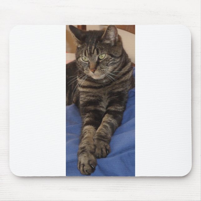 Regal Dave Mousepad (Front)