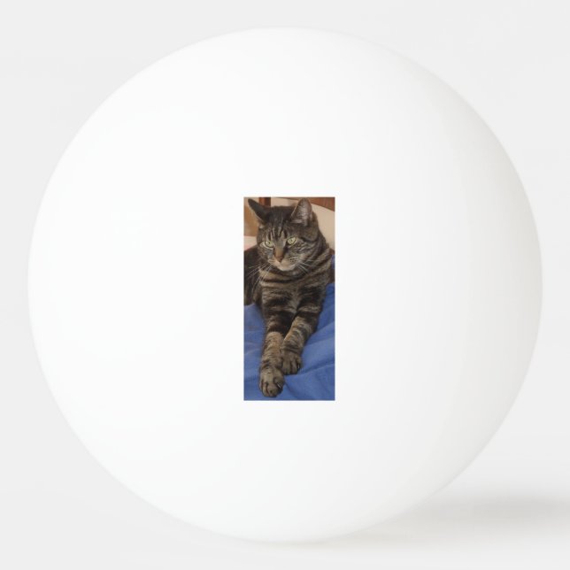 Regal Dave One Star Ping Pong Ball (Front)