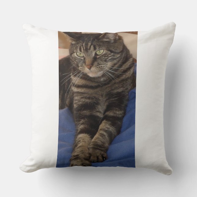Regal Dave Polyester Cushion (Front)