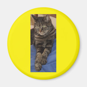 Regal Dave Round Magnet