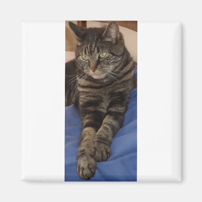 Regal Dave Square Magnet (Front)