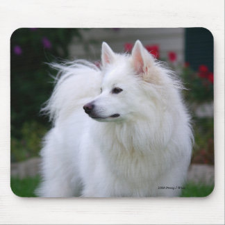 Regal Eskie Mousepad