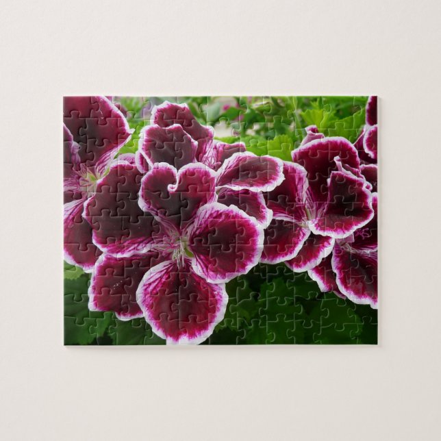 Regal Geranium Flowers Elegant Maroon Floral Jigsaw Puzzle (Horizontal)