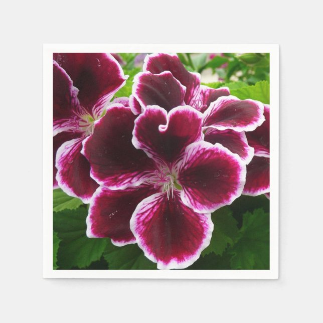 Regal Geranium Flowers Elegant Maroon Floral Lugga Napkin (Front)