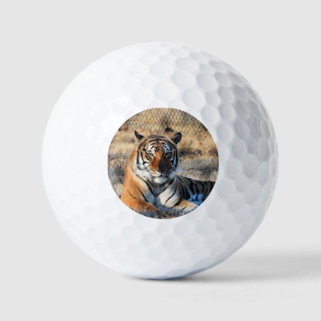 Regal Golf Balls (Front)