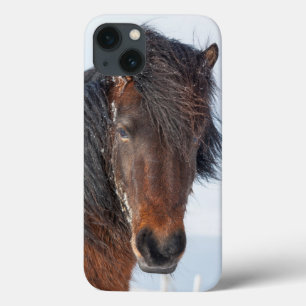 Regal Icelandic Horse Headshot iPhone 13 Case