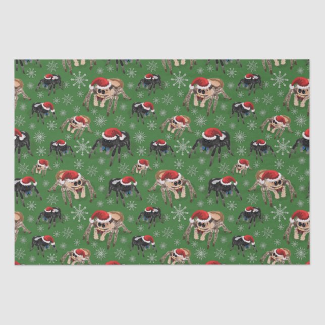 Regal Jumping Spider Phiddipus Regius Holiday Moss Tissue Paper (Front)