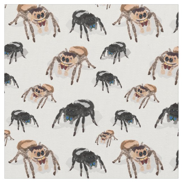 Regal Jumping Spider Phiddipus Regius White Fabric (Close Up)