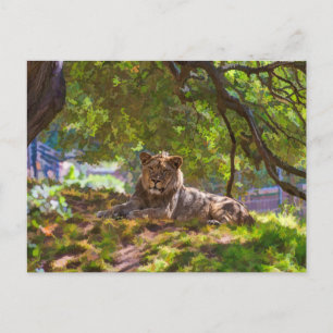 REGAL LION POSTCARD