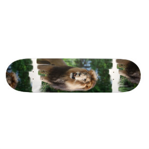 Regal Lion Skateboard
