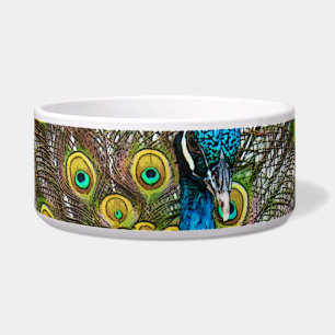 Regal Peacock Bird with Teal and Gold Plumage