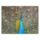 Regal Peacock Bird with Teal and Gold Plumage