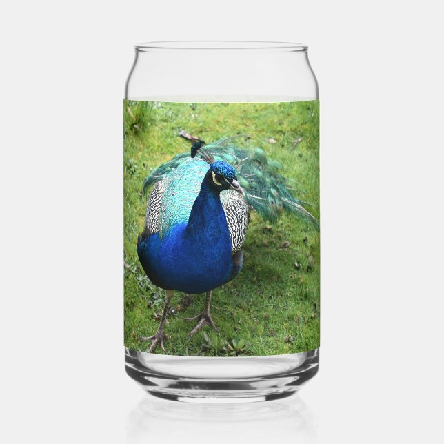 Regal Peacock Power Can Glass (Front)