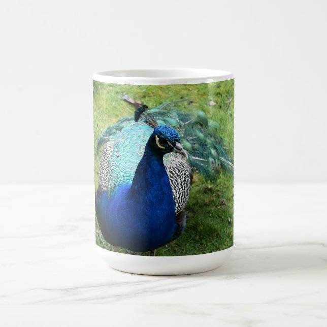 Regal Peacock Power  Coffee Mug (Center)