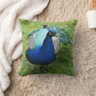 Regal Peacock Power Cushion