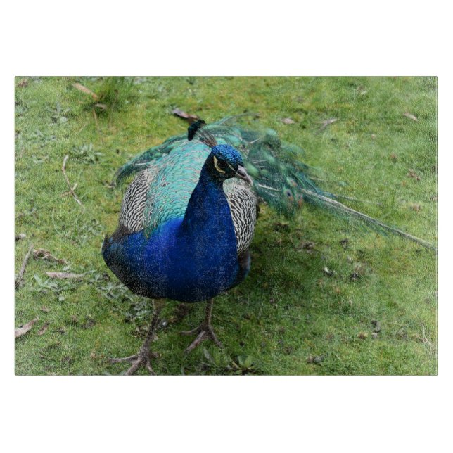Regal Peacock Power Cutting Board (Front)