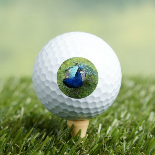 Regal Peacock Power Golf Balls (Insitu Tee)
