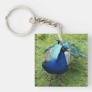 Regal Peacock Power  Key Ring