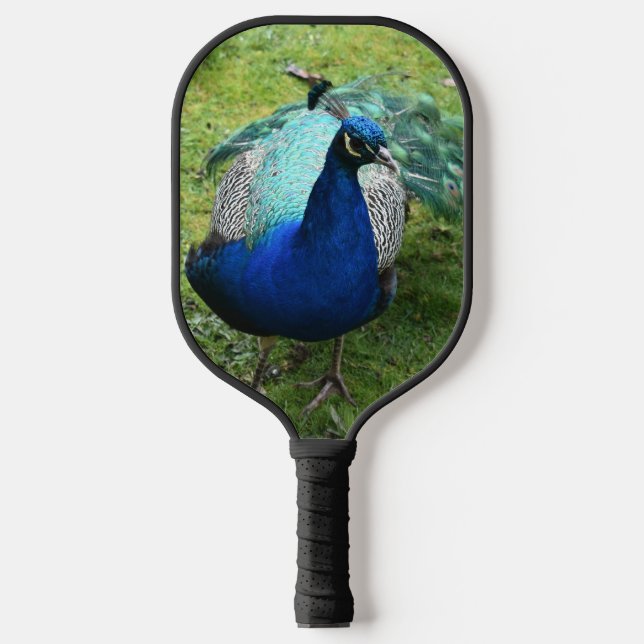 Regal Peacock Power Pickleball Paddle (Front)