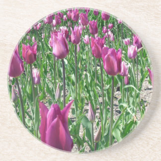 Regal Purple Tulips Coaster