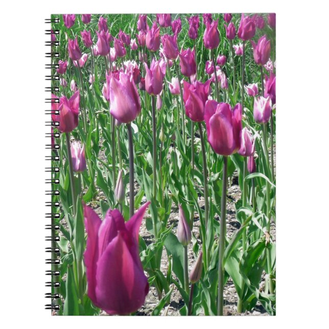 Regal Purple Tulips Notebook (Front)
