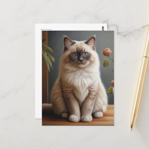 Regal Ragdoll Cat Portrait Fluffy Blue Eyed Postcard