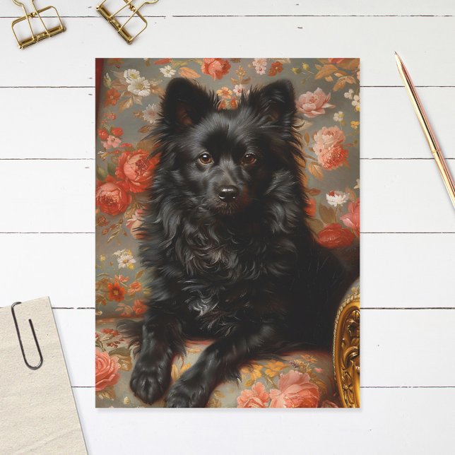 Regal Schipperke Dog Vintage Postcard (Creator Uploaded)