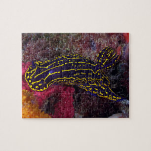 Regal Sea Goddess Nudibranch Felimare picta Jigsaw Puzzle