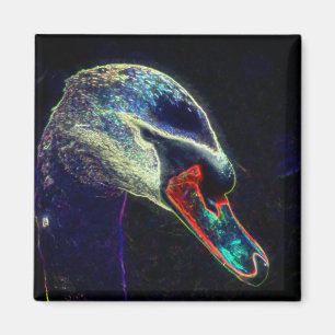 Regal Swan Abstract Nature Art Magnet