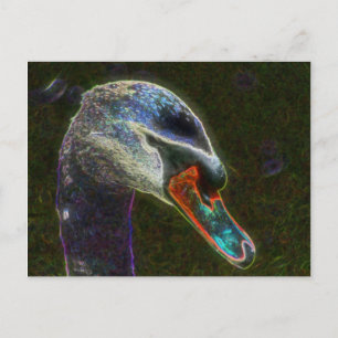 Regal Swan Digital Art Nature Photography Postcard