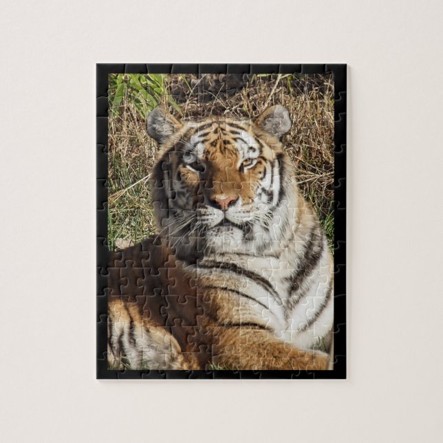 Regal Tiger Jigsaw Puzzle (Vertical)