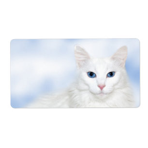 Regal white cat