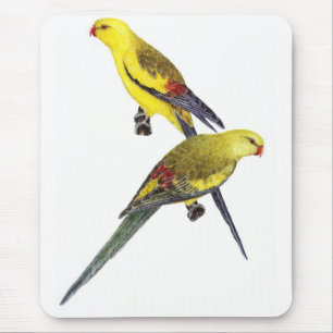 Regent Parrot Pair - Polytelis anthopeplus Mouse Pad