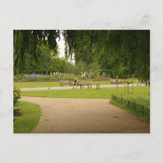 Regent's Park, London Postcard