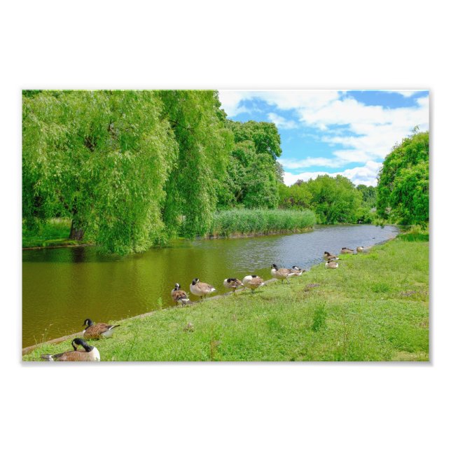 Regent's Park, London Print (Front)