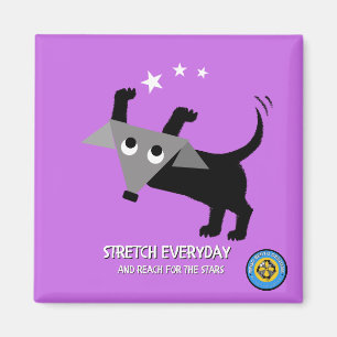 Rego Berto Stretch Everyday, Reach for the Stars Magnet
