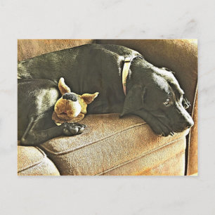 Regrets Postcard