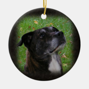 Regular Dog ~ ornament