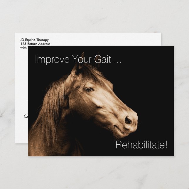 Rehabilitation Therapy Equine Specialist Appoint P Postcard (Front/Back)