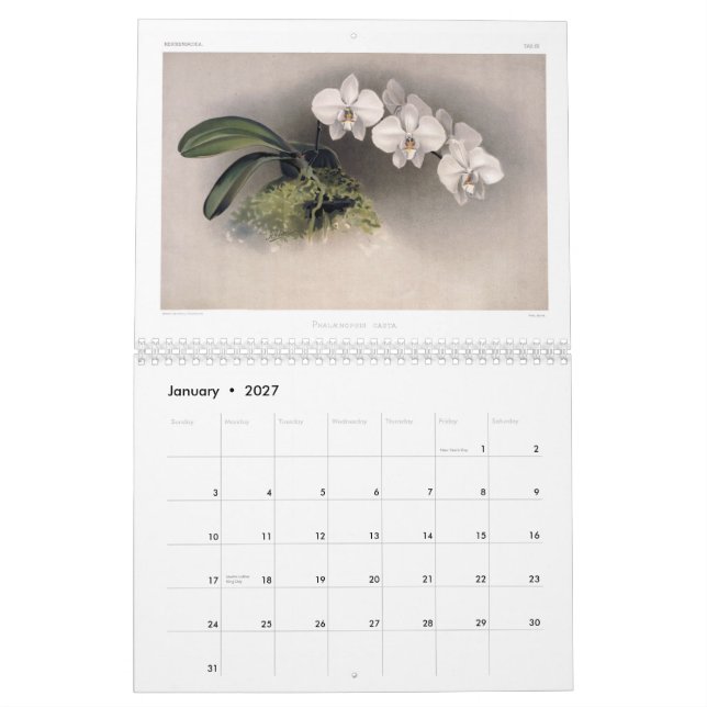 Reichenbachia Orchids 2015 Calendar (Jan 2027)