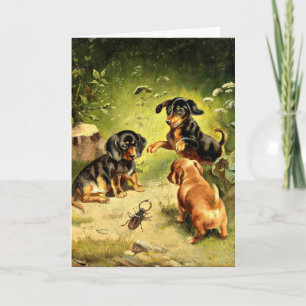 Reichert - Dachshund Puppies at Play Card