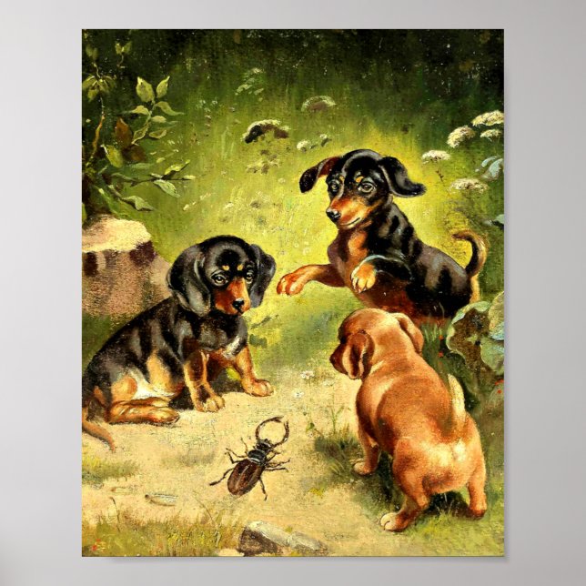 Reichert - Dachshund Puppies at Play Poster (Front)