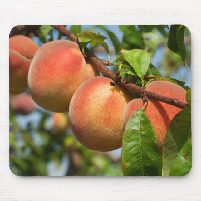 Reife Weingartenpfirsiche Mouse Pad (Front)