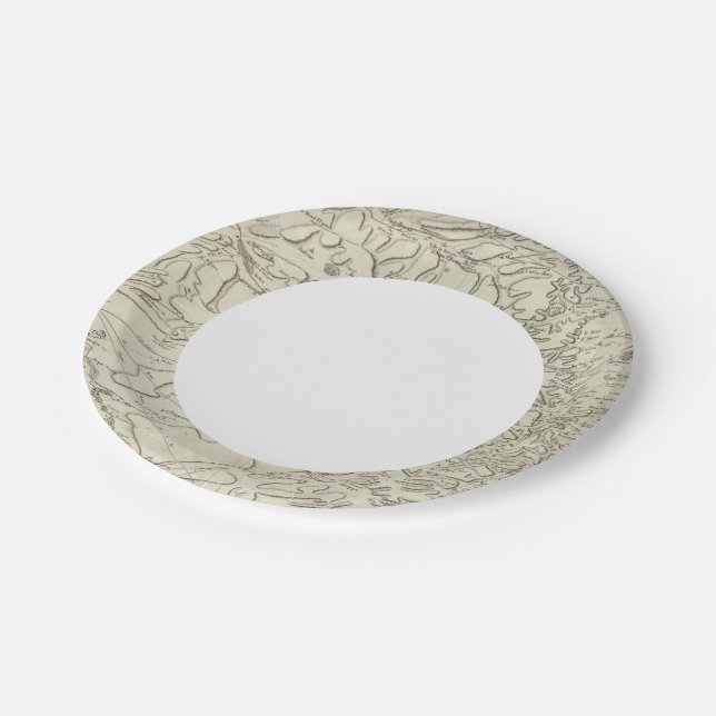 Reims Paper Plate (Angled)