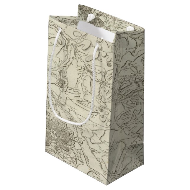 Reims Small Gift Bag (Back Angled)