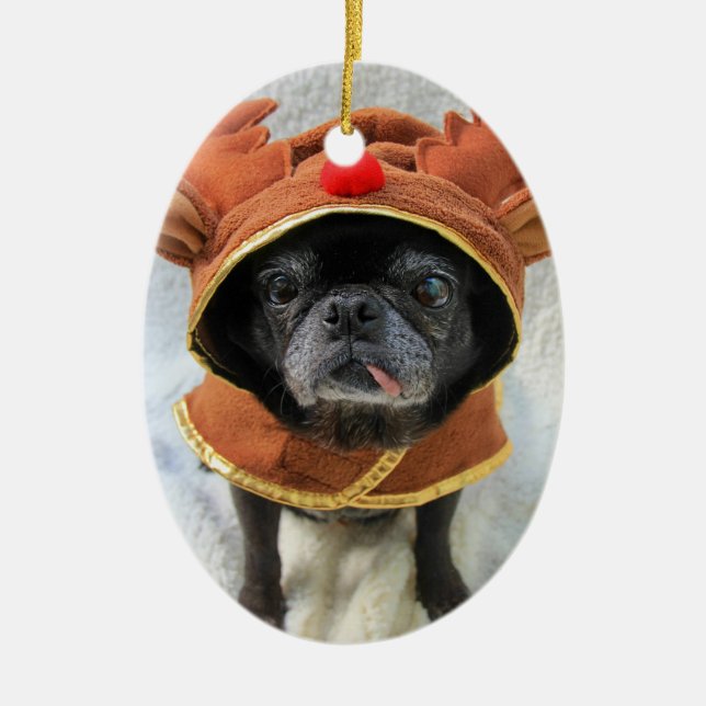 Rein-pug Ornament (Front)