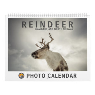 Reindeer 2024 calendar