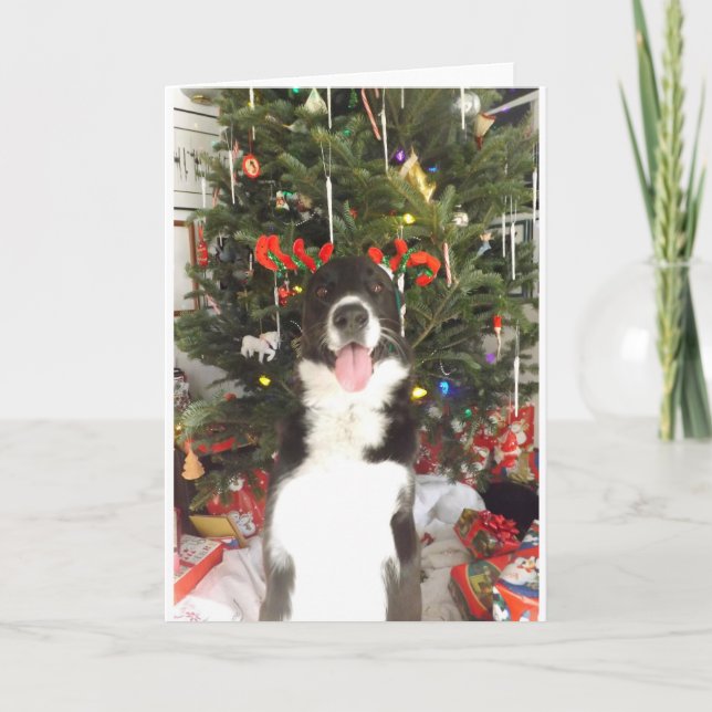 Reindeer Antlers Dog Christmas Card (Front)