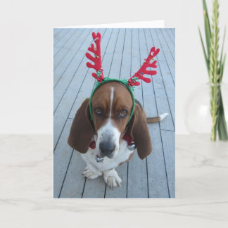 Reindeer Basset Holiday Christmas Card