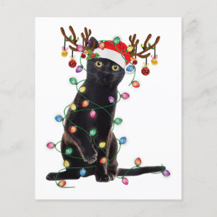 Reindeer Black Cat Christmas Lights Funny Cat Love